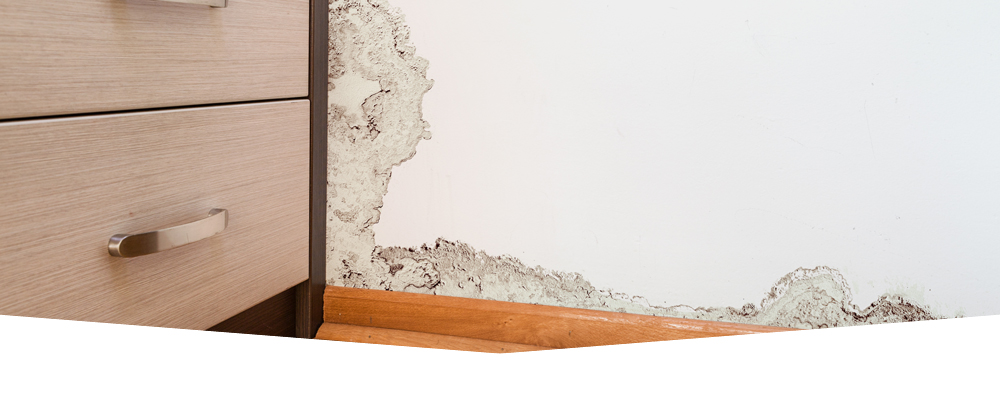 property maintenance leeds